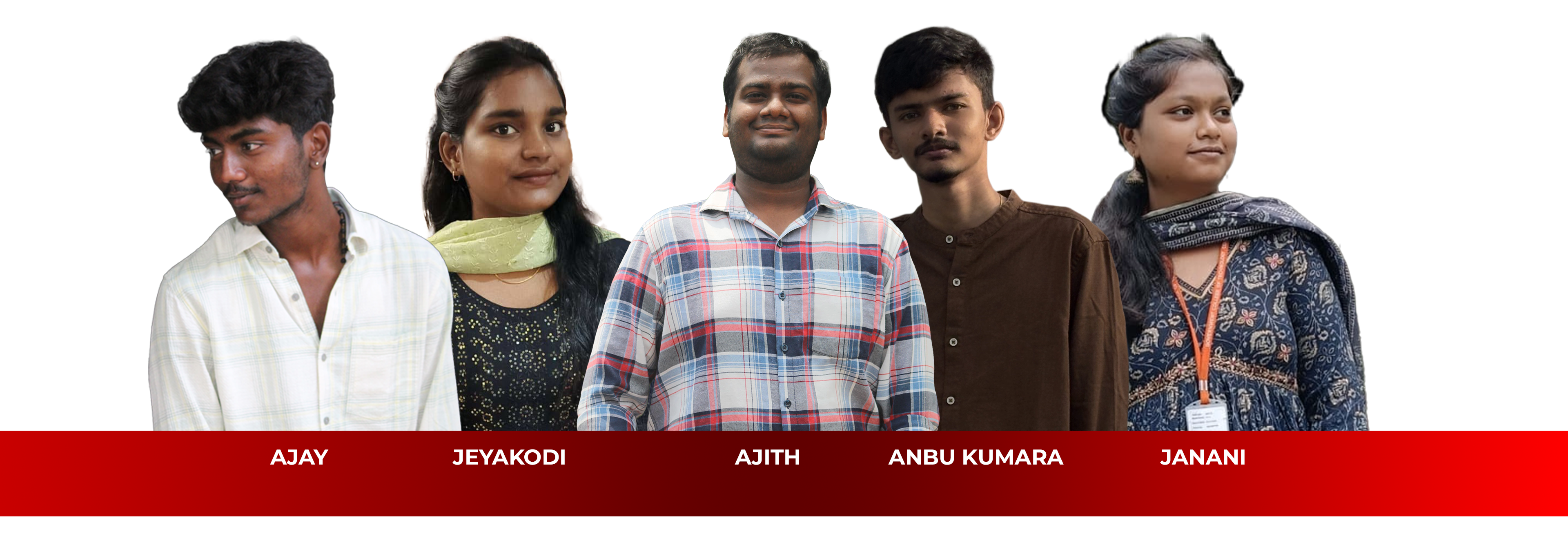 Curation Team